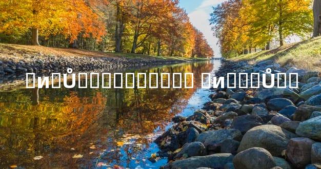 �и�Ů�˵�������� �и���Ů��